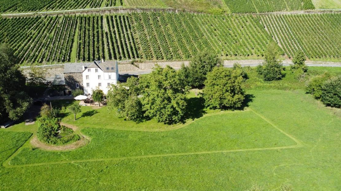 Livi'S Landhaus Neumagen-Dhron Zewnętrze zdjęcie